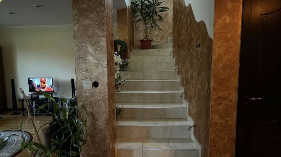 Casa de vanzare P+1, 4 Garaje, Vetis - Poză 14