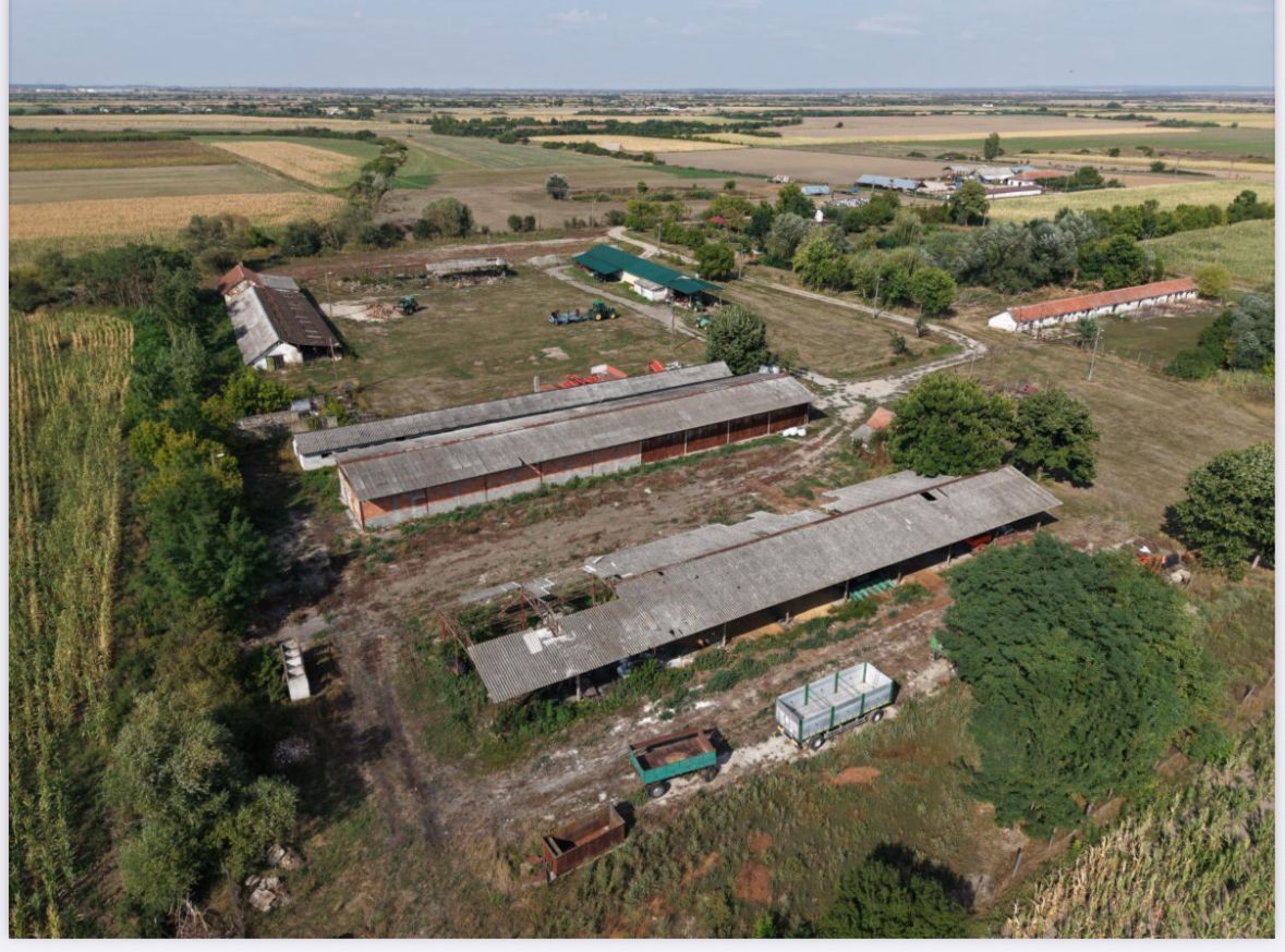 Spatiu multifunctional Salonta - Poză 8