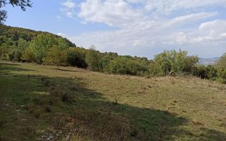 Teren  42,200 mp (4,22 hectare)-Parcelabil-investitie-Valea Jelnei - Poză 2