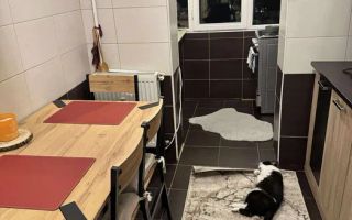 2 camere decomandat | mobilat&utilat | Nicolina 1 | Ideal locuit sau investiție - Poză 2