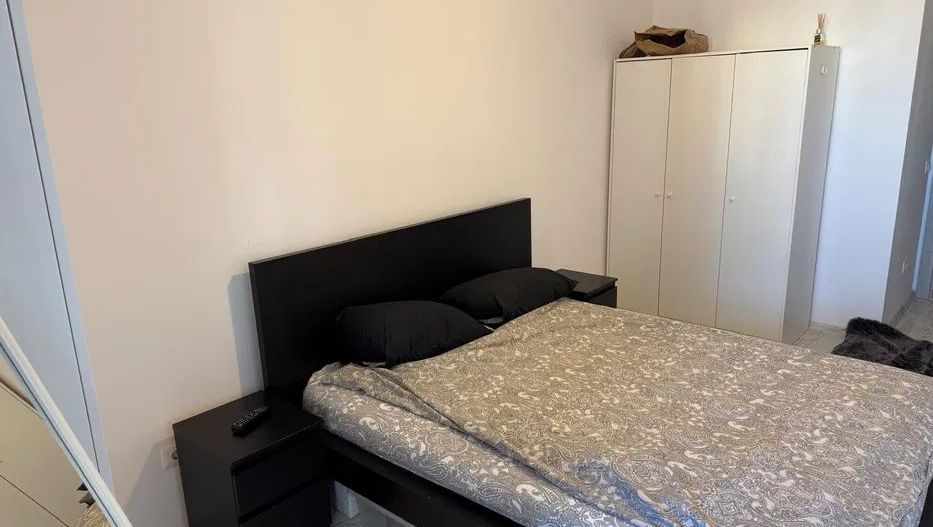 Apartament unical 2 camere Vitan-Barzesti Pet friendly - Poză 6