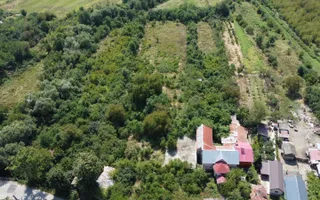 Teren 7808mp Bolovani - comuna Cornățelu (COMISON ZERO) - Poză 14