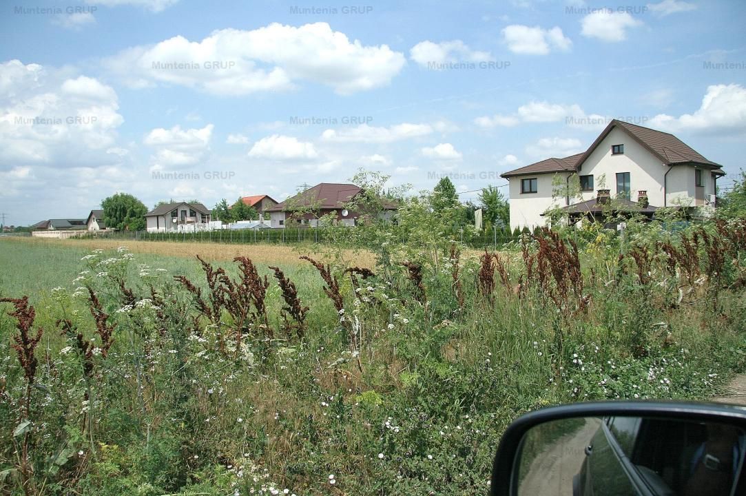 OCAZIE! TARTASESTI - Str. Giurgiului, 20.000 mp. teren intravilan - Poză 2