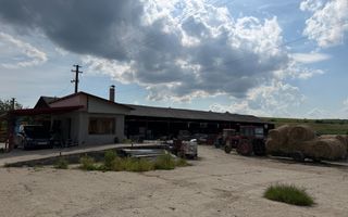 Activ agricol integrat | 67,5 ha | Oportunitate investițională - Poză 9