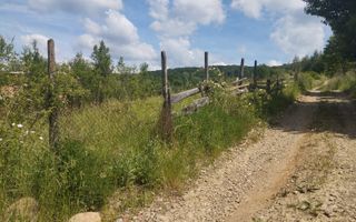 Teren 40.000 mp-ideal investitie-Slatinita - Poză 3