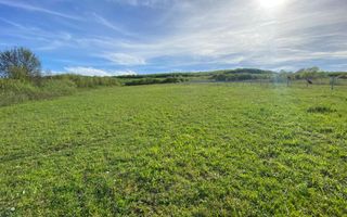 Teren 2160 mp - pretabil pentru cabana - investitie - Jelna - Poză 8