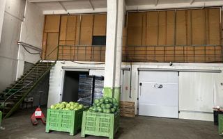 Hala de inchiriat Grădiște/Sere, Arad-761 mp - Poză 5