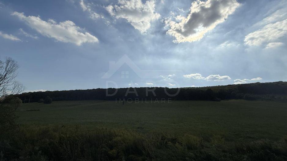 Teren intravilan budiu mic 9700 m², perfect pentru complex rezidențial - Poză 3