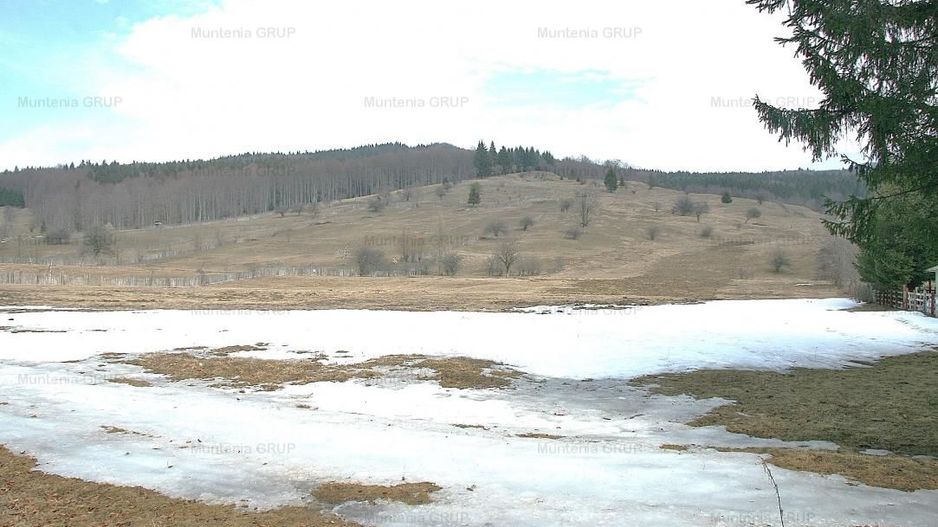 VALEA DOFTANEI - Traisteni, langa Conacul Dascalu, vanzare 2.537 mp. teren - Poză 12
