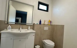 Casa individuala Dumbravita cu anexa de 90 mp - Poză 40