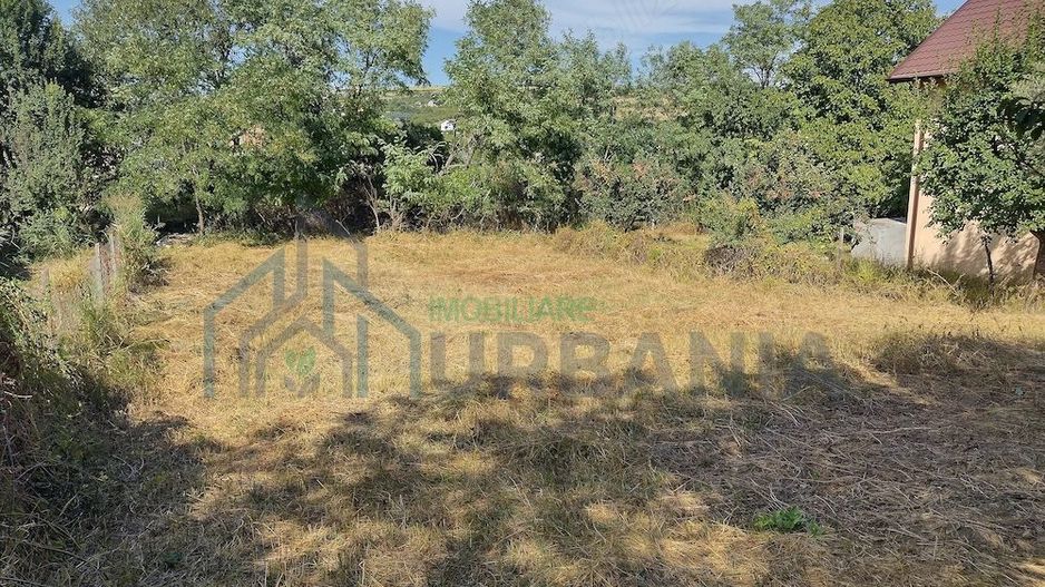 Teren intravilan 482 mp în Chicerea, comuna Tomești, ideal pentru construcție casă - Poză 4
