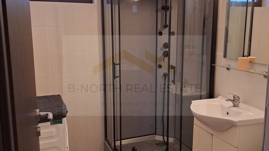 Inchiriere Vila  Drragomiresti Deal - Poză 10