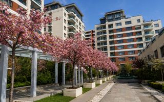 Apartament 3 Camere I Vedere Lacul Tei | Loc de parcare inclus - Poză 2
