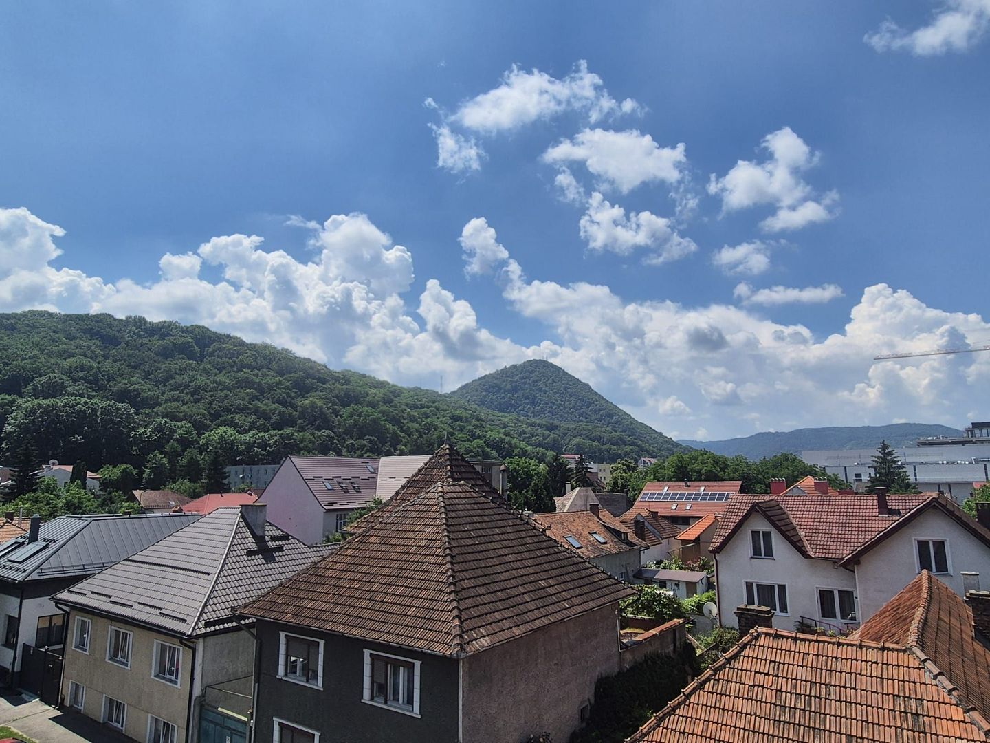 Centru Civic, apartament pet friendly - Poză 7