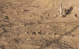 Teren rezidential 500 mp langa padurea Baneasa si Oxford Gardens - Poză 7