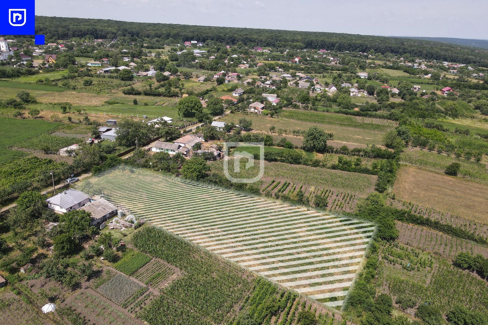 Teren - Ionășeni | BOTOȘANI | 3.285mp - Poză 3