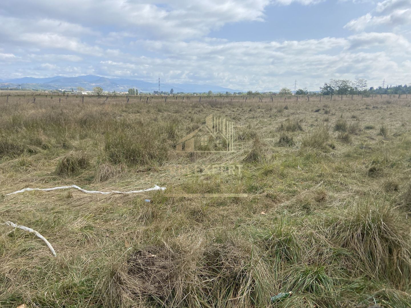 TEREN INTRAVILAN 5000 MP, GRUI, CAMPULUNG - Poză 4