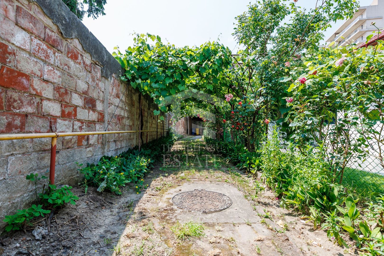 FOISORUL DE FOC | Teren 259mp cu casa veche 9 min metrou Iancului - Poză 6