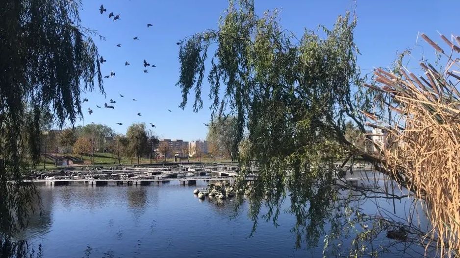 spre vanzare garsoniera spatioasa complet amenajata 1 decembrie - Poză 6