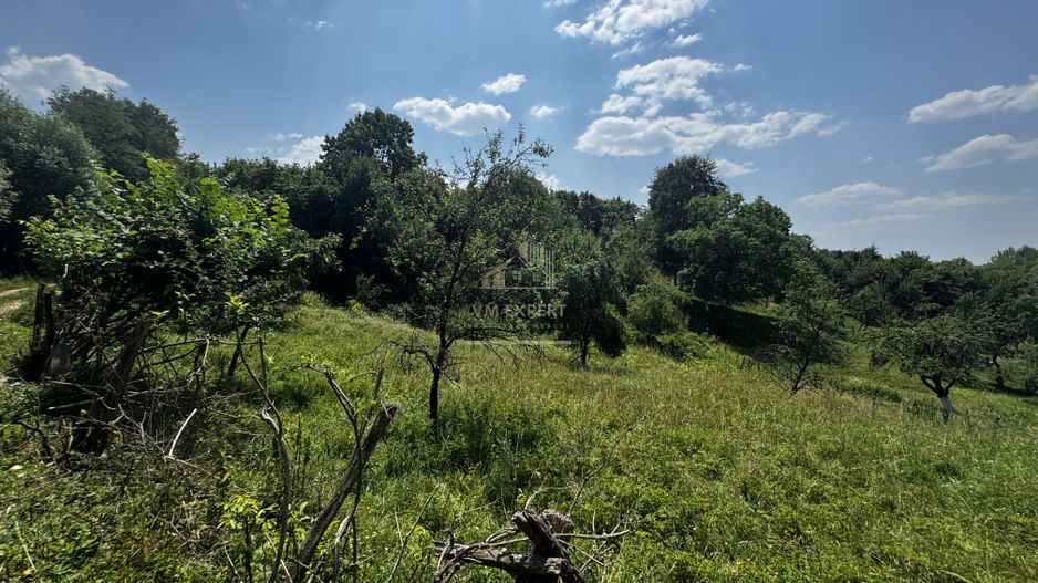 TEREN INTRAVILAN 2146 MP, ALBESTII DE MUSCEL, ARGES - Poză 7