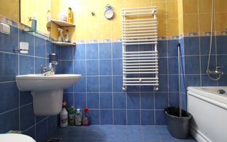 Zona linistita, posibilitate decontare-Sagului - Poză 9