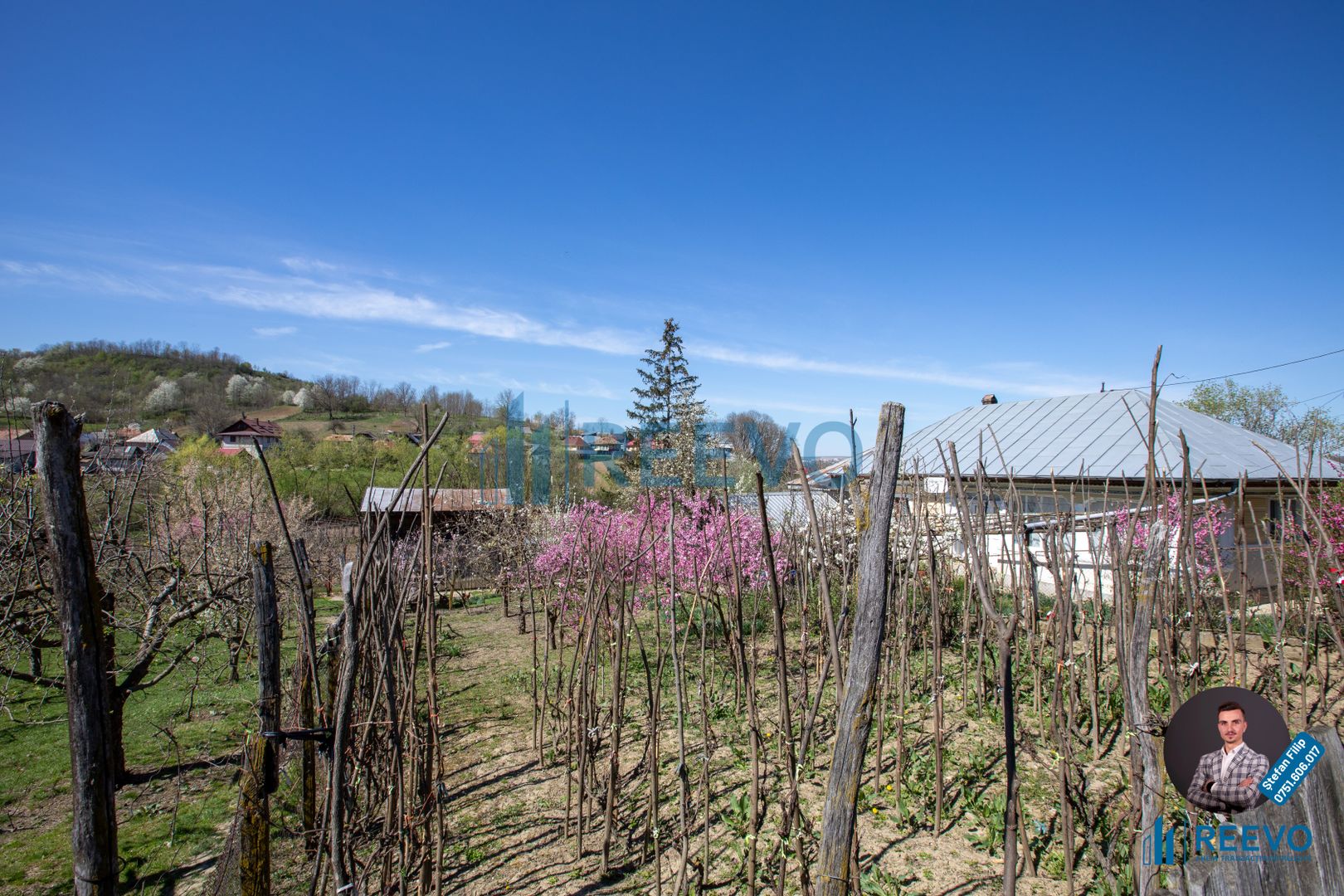 Casă și teren de vânzare, sat Buda, Blăgești, Bacău - Poză 31