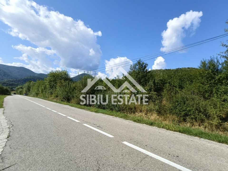 Teren  construibil ,la sosea, intre Vale si Sibiel, zona cu potential - Poză 12