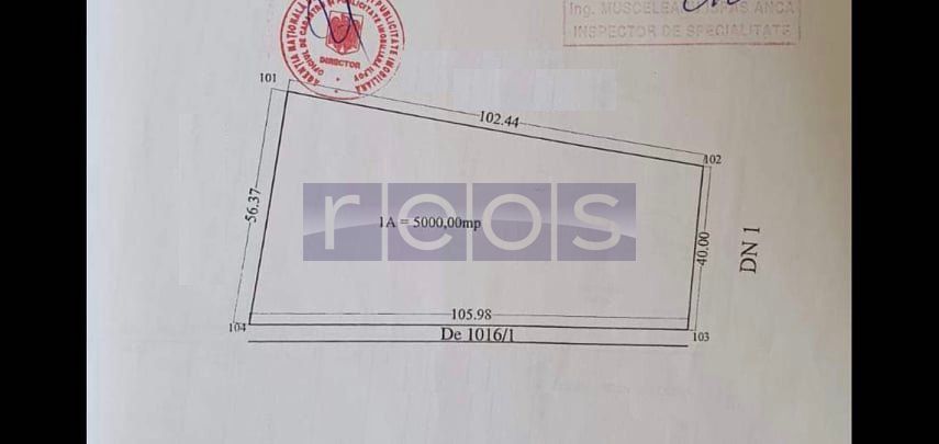 VANZARE TEREN | 5000 MP | DESCHIDERE 145 ML | DN1 | TANCABESTI - Poză 1