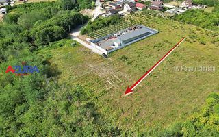 AZURA Imobiliare - Vanzare teren Smeura, zona verde - Poză 3
