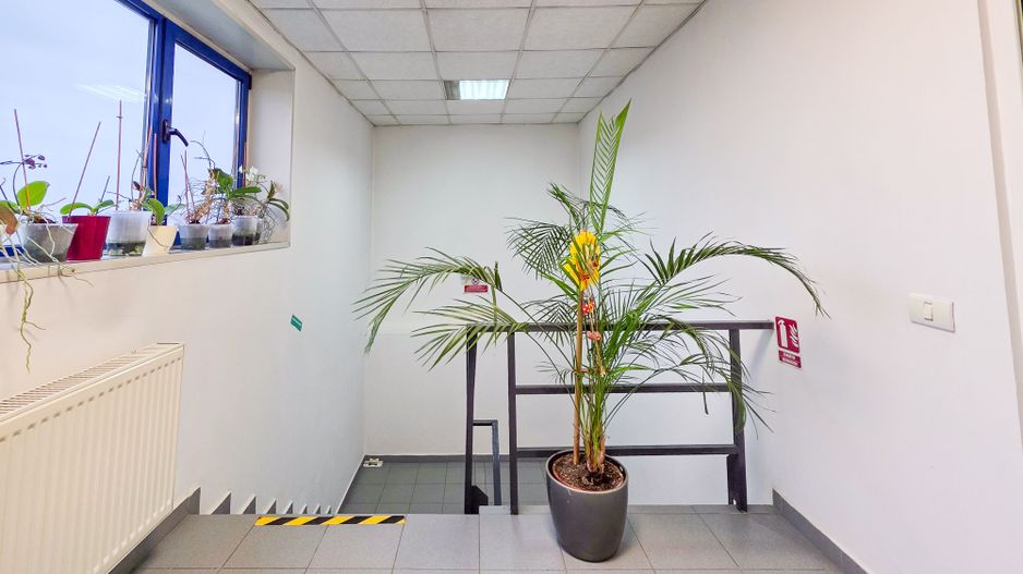 Spațiu industrial–afacere catering la cheie, teren&hală 750 mp S+P+1E - Poză 36