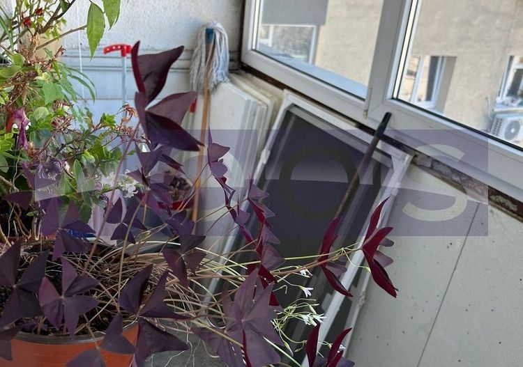 VANZARE 3 CAMERE NICOLAE GRIGRORESCU | SECTOR 3 | SALAJAN | - Poză 8