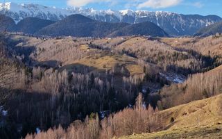 Refugiu în Inima Munților I Casa in Moeciu I Bran - Poză 7