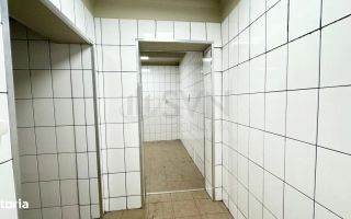 Spatiu pentru activitati comerciale I Laborator - Spatiu productie - Poză 12