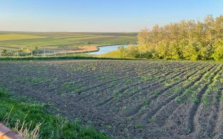 Intravilan preț mic - Poză 3