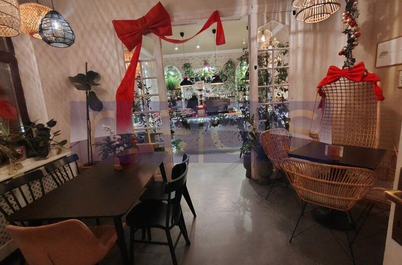 VILA EXCEPTIONALA PARCUL CAROL |  5 STUDIOURI | SPATIU HORECA FUNCTIONAL | - Poză 2