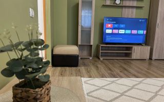 Apartament 2 camere Tineretului / The Park - Poză 4