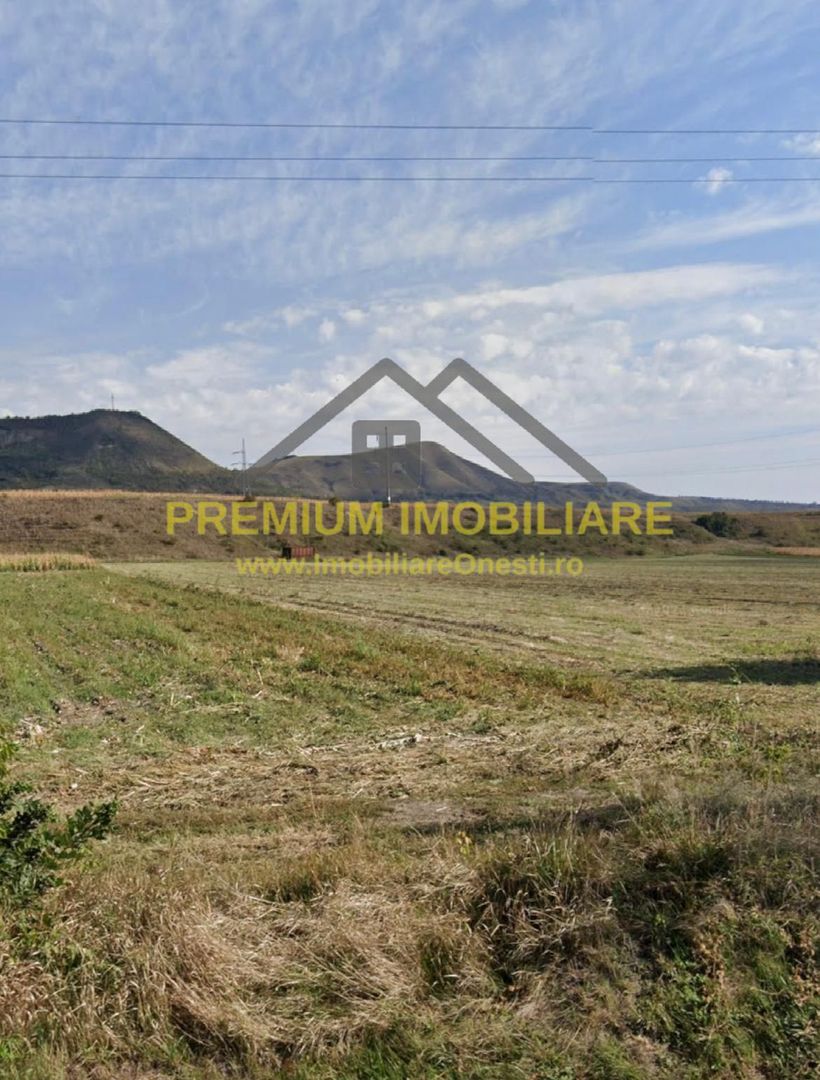 Teren 7.400 mp, deschidere 40 m la DN11, Târgu Trotuș - Poză 3