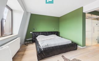 Studio luminos si spatios, Mihai Bravu - Mosilor - Poză 5