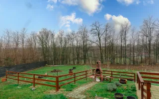 Casă cu 3 dormitoare și 2600 mp teren - Poză 19