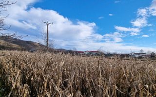 De vanzare 1929mp teren intravilan cu utilitati, Sard - Poză 4