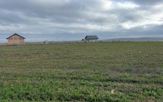 Teren 10.000 mp: 5.000 mp intravilan + 5.000 mp extravilan – Horlești - Poză 1