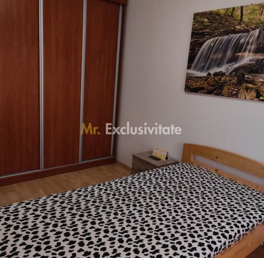 Apartament 2 camere, in vila, renovat, utilat Luica/Zetarilor - Comision 0% - Poză 9