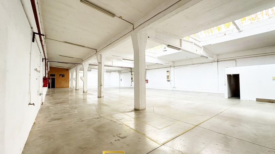 Hala industriala 675 mp, Arad central, acces TIR ideal depozit logitic - Poză 3