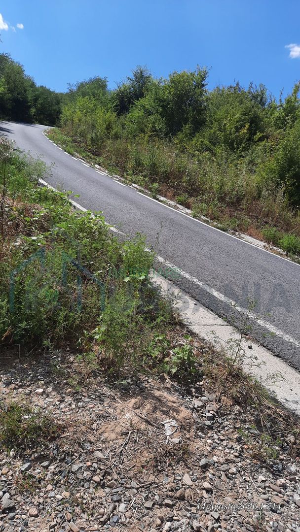 Teren 10.000 mp în Tomesti, zona Vladiceni – oportunitate de investiție - Poză 3