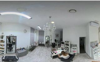 Spatiu comercial de inchiriat Titan - Poză 3