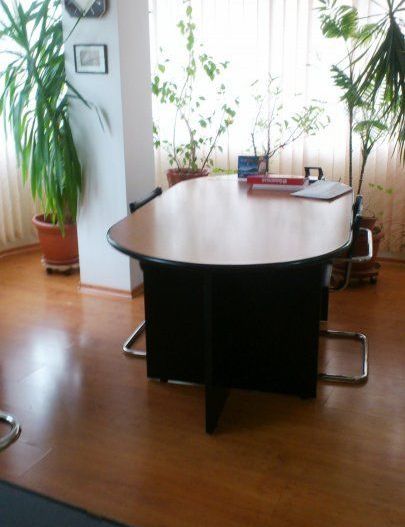 Casa/Vila/Spatiu comercial  Rahova-Sos.Salaj - Poză 10