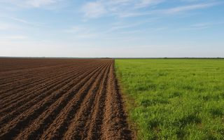 Vanzare de teren agricol in localitatea Voivodeni. - Poză 1