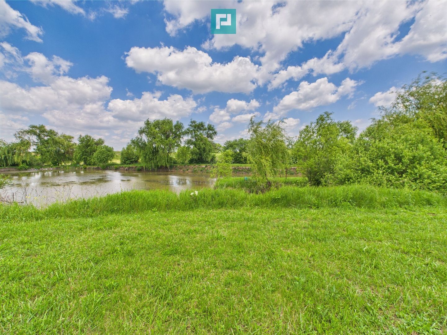 Teren cu baltă- oportunități multiple la Fibiș - Poză 7