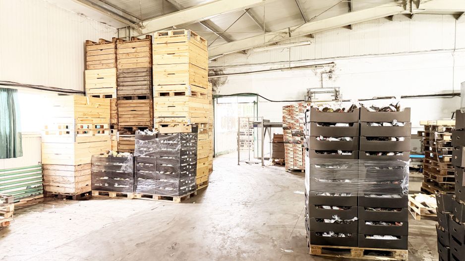 Hala industrială de vanzare Arad 540 mp, depozitare la rece, acces TIR - Poză 7