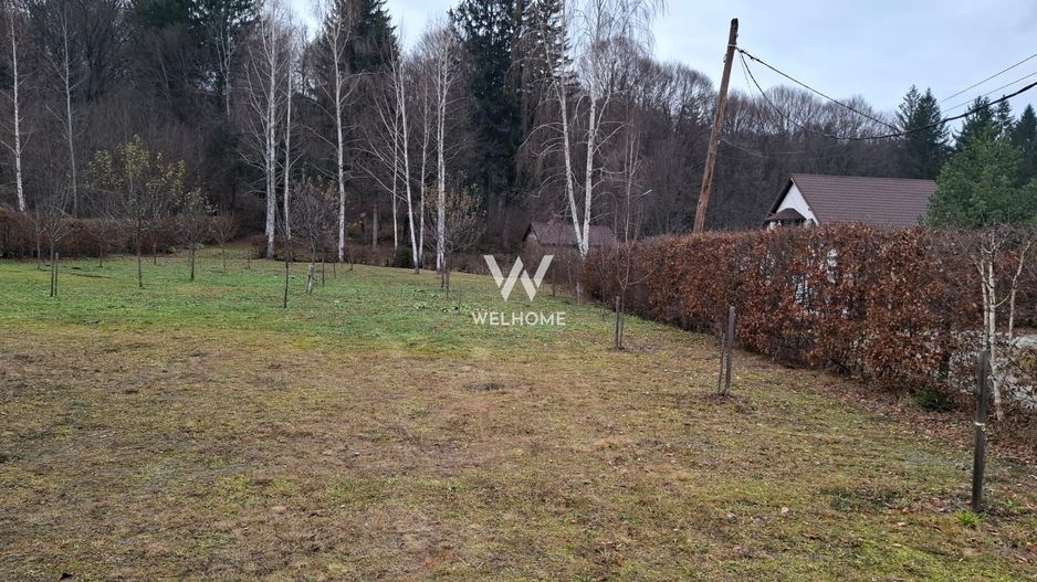 Teren 2000 mp, langa padure,  pe Valea Avrigului - Sibiu - Poză 7